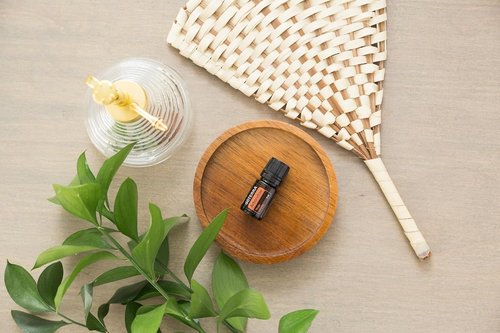 doTERRA - Arborvitae Essential Oil - 5mL | Pure, Natural Aroma for Relaxation and Wellness