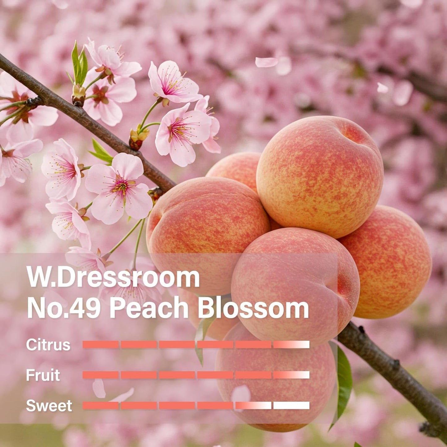 W.Dressroom Moisturizing Hand Cream - Non-Greasy, Quick-Absorbing Formula | Travel Size 1.69 fl oz (50 ml) - No.49 Peach Blossom Scent