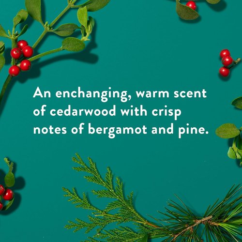 Native Deodorant - Holiday Edition Fresh Mistletoe Scent | 72-Hour Odor Control, Aluminum-Free Formula
