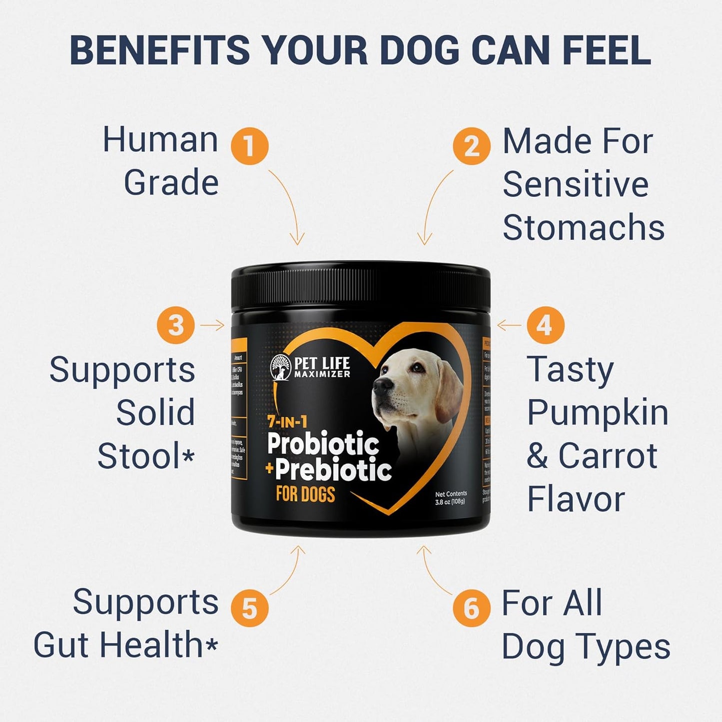 **Skiennix 7-in-1 Probiotic + Prebiotic Powder for Dogs - Supports Digestive Health & Skin Relief | 5 Billion CFU**