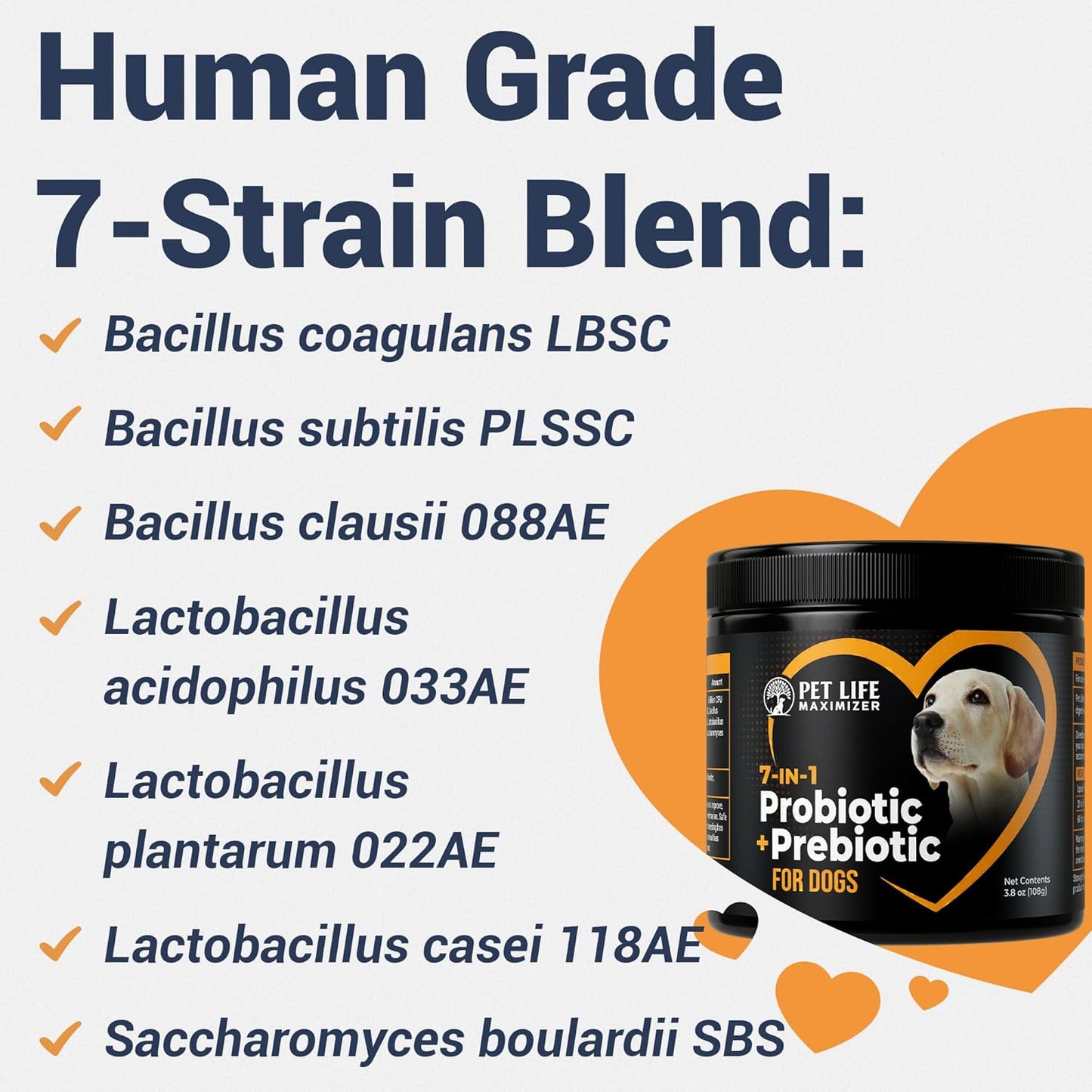 **Skiennix 7-in-1 Probiotic + Prebiotic Powder for Dogs - Supports Digestive Health & Skin Relief | 5 Billion CFU**