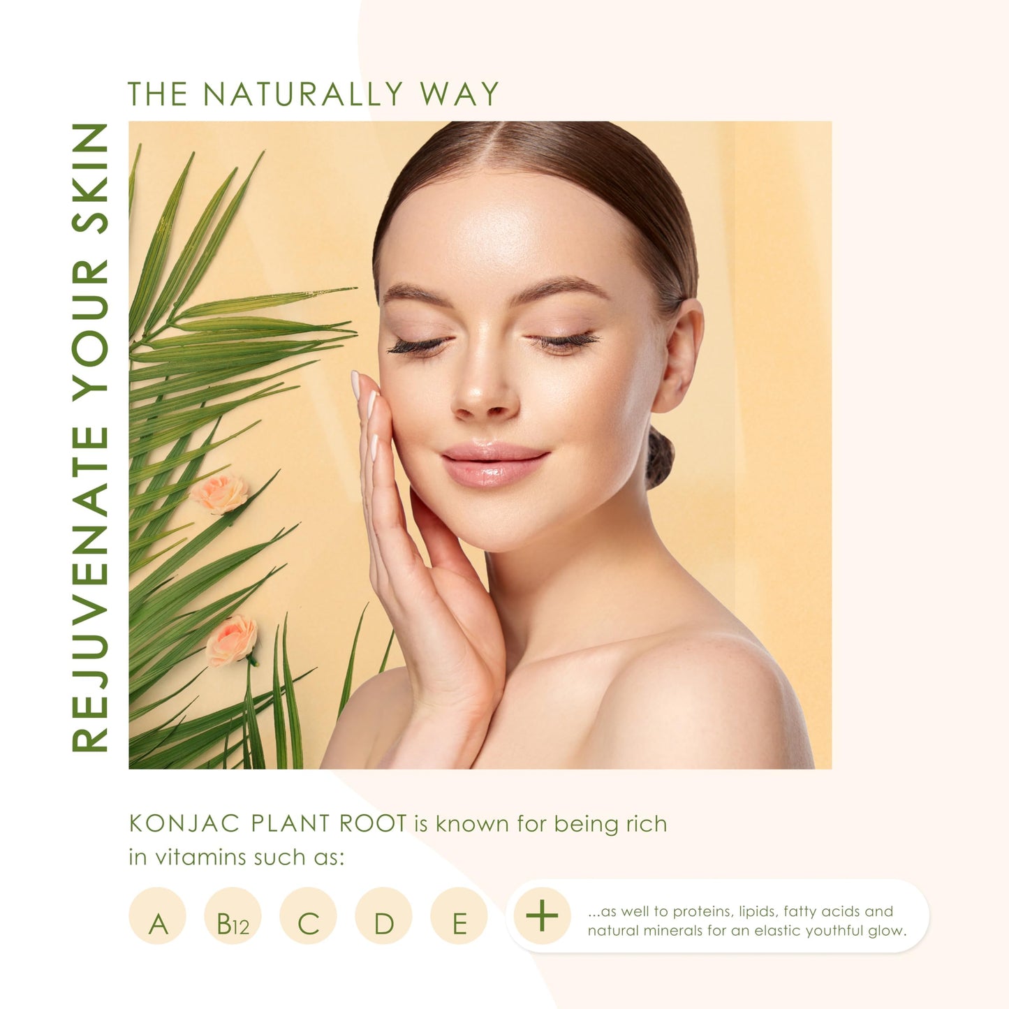 Konjac Body Sponge (2 Pack) | 100% Natural & Dye Free | Non-Toxic | Biodegradable | Eco-Friendly | Plastic Free Packaging