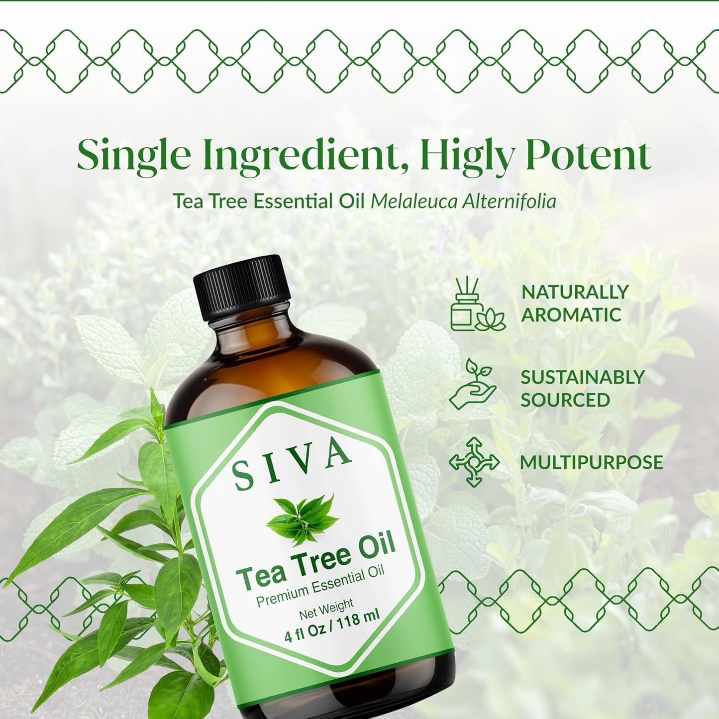 Siva Tea Tree Essential Oil - 100% Natural for Diffuser, Face & Skin Care | 4 Fl Oz with Dropper