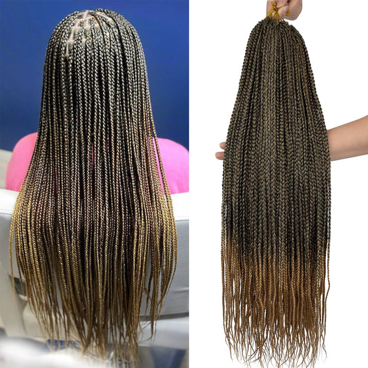 Chicmoi Pre Looped Crochet Box Braids 24 Inch T27 Ombre Honey Blonde Box Braids Crochet Hair 1/3 Inch Wide Small Prelooped Crochet Braids Hair for Black Women (24in 6pack, T27)