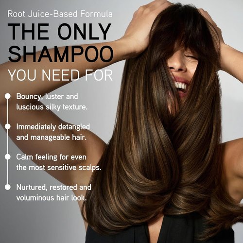 ILES FORMULA Hydrating Shampoo for Dry, Damaged Hair | Sulfate-Free, Salon-Grade Moisturizer