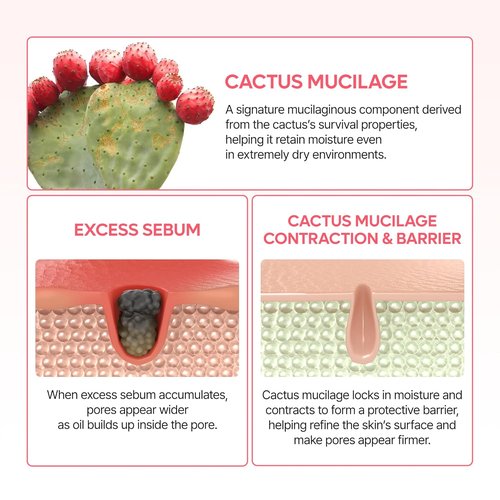 Dr. Melaxin Cactox Pore Dual Capsule Cream - Hydrating Pore Minimizing Face Cream with Cactus Extract & Vegan Collagen