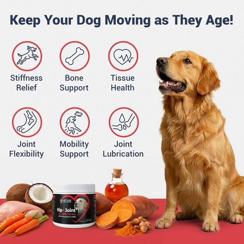 Advanced Dog Hip and Joint Supplement by 3-in-1 - Tasty Glucosamine Chews for All Breeds & Seniors - Chicken Flavor