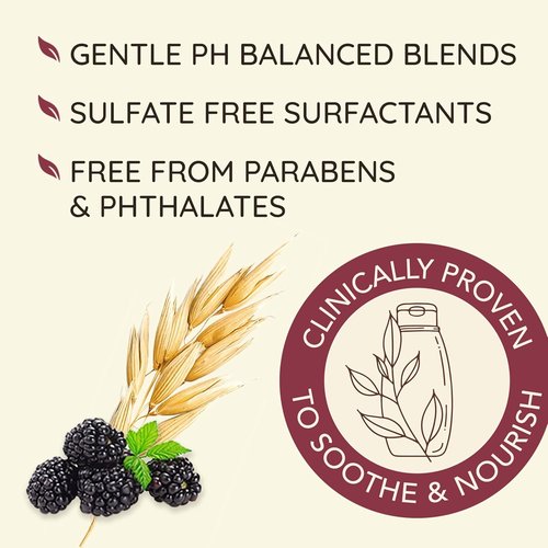 Aveeno Blackberry & Quinoa Conditioner - Strengthens Color-Treated Hair, Moisturizing, 12 fl oz