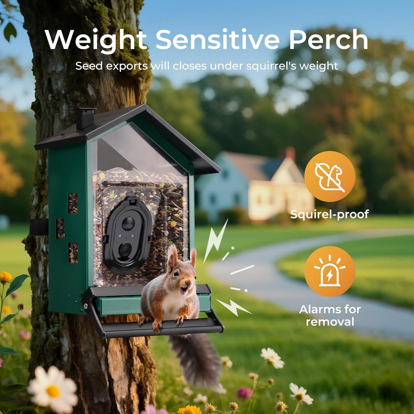 TT Nature Smart Bird Feeder - Solar Powered Camera with AI Bird Identification & Squirrel Proof Design | 3.2L Capacity, Green
