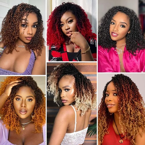 Aksice 10 Inch 8 Packs Yanky Twist Crochet Hair for Women Pre-looped Mini Twist Hair Bohemian Passion Twist Crochet Hair Boho Crochet Braids Synthetic (4H27)