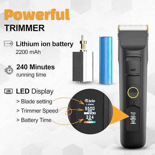 Brio Beardscape V2 Beard Trimmer - Professional Cordless Hair Trimmer with Low Friction Blade | 4-Hour Battery Life, Ideal for Beard & Body (Black)