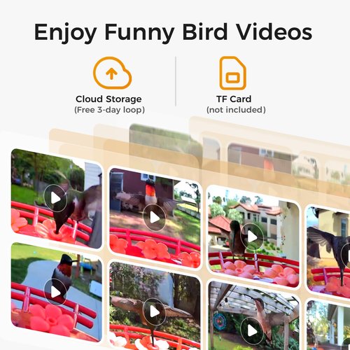 TT Nature Hummingbird Feeder with Camera Solar Powered, AI Identify Cloud Storage Instant Notification, CCPA Data Protection, Outdoor Hanging, Christmas Limited Edition