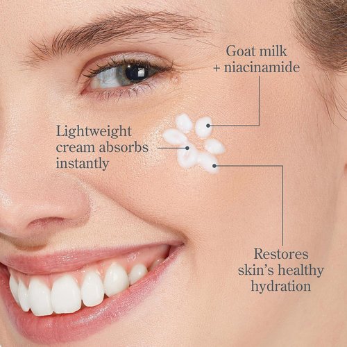 Beekman 1802 Goat Milk Face Moisturizer - Lightweight & Deeply Hydrating Cream, 100 mL - Nourishes All Skin Types - Cruelty-Free