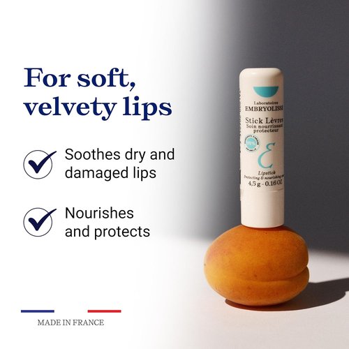 Embryolisse Lip Balm - Hydrating Shea Butter Formula for Chapped Lips | 0.16 oz