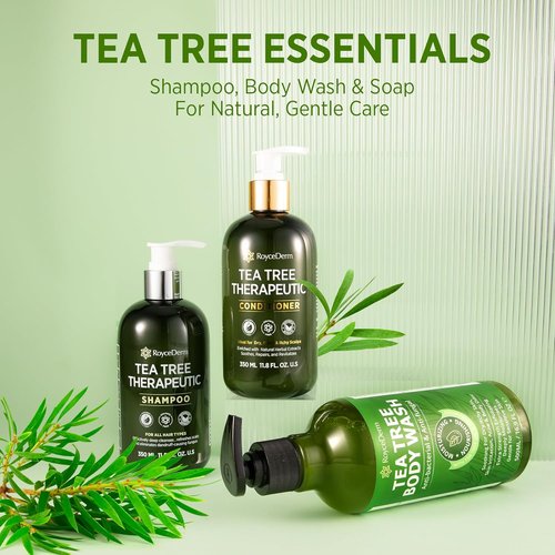 Roycederm Tea Tree Antifungal Shampoo - Medicated Formula for Dandruff & Itchy Scalp | Paraben & Sulfate Free - 2 Pack