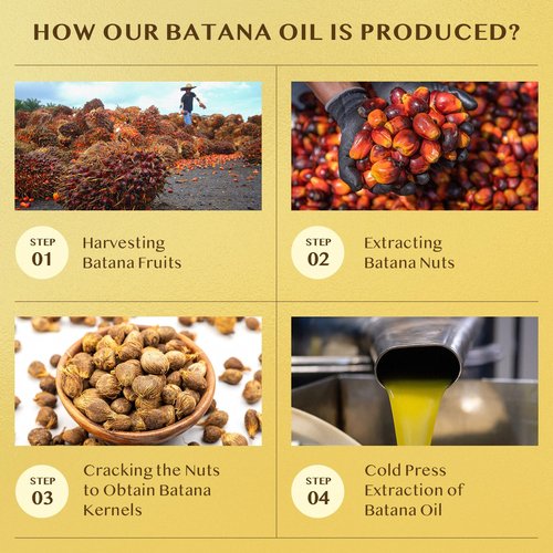 Jardient Raw Batana Oil for Hair Growth: Dr Sebi Organic Batana Oil from Honduras - 100% Pure & Natural - Promotes Thicker & Stronger Hair for Men & Women (4.2 OZ)