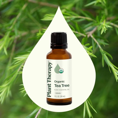 Plant Therapy Organic Tea Tree Oil - 100% Pure & USDA Certified Organic | Natural Aromatherapy 30 mL (1 oz)