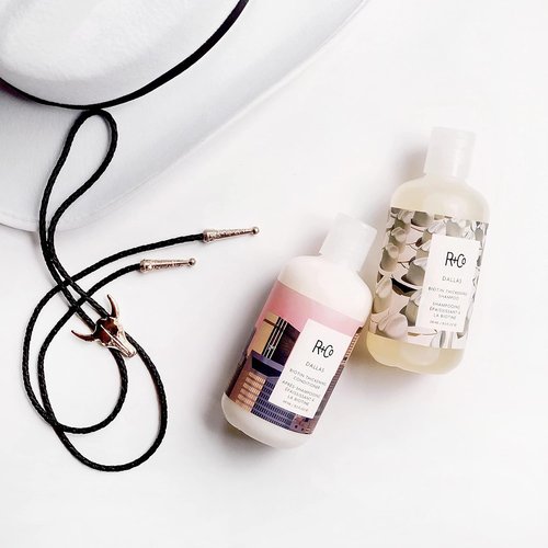 R+Co Dallas Thickening Shampoo - Biotin Infused for Hair Growth, Strengthening & Volume | Vegan & Cruelty-Free