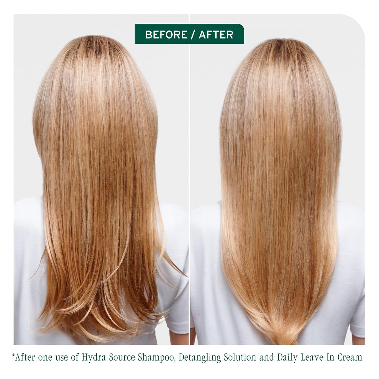 Biolage Hydra Source Shampoo - Moisturizing & Shine-Enhancing Formula for Dry Hair | Infused with Aloe Vera & Hyaluronic Acid