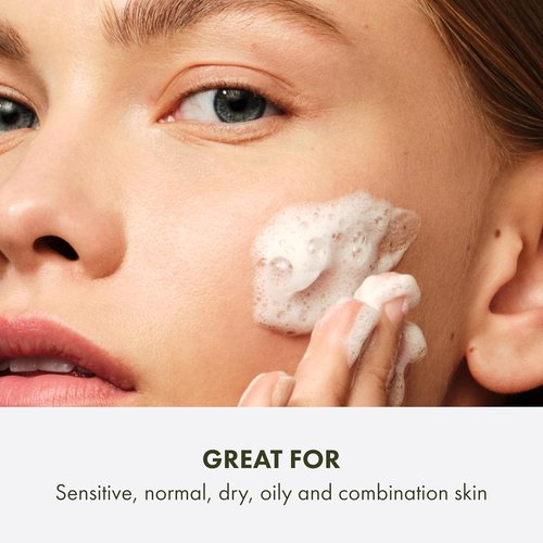 Origins Checks and Balances Frothy Face Wash - Gentle Cleanser for All Skin Types with Mint