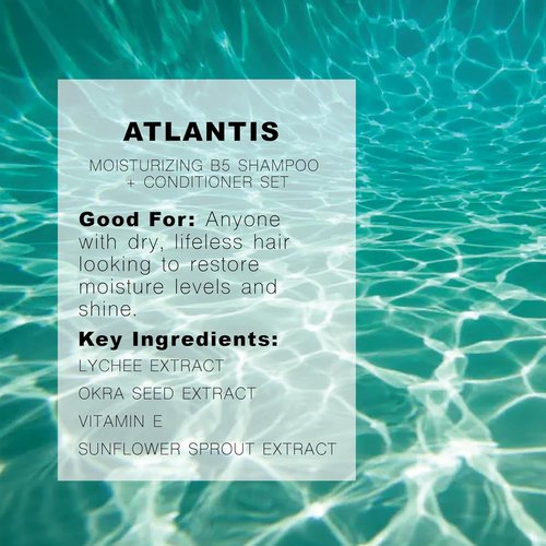R+Co Atlantis B5 Shampoo + Conditioner Travel Set | Deep Hydration & Repair for Dry Hair | Vegan + Cruelty Free | 2oz (Pack of 2)