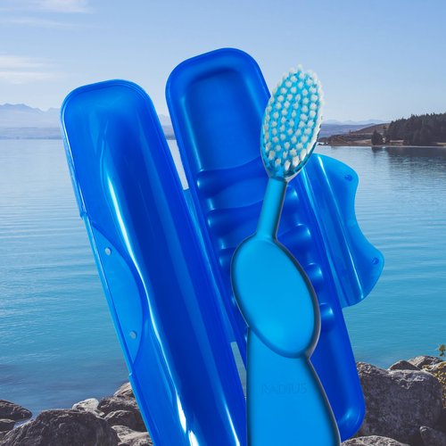 RADIUS Toothbrush Original Big Brush with Replaceable Head, BPA Free ADA Accepted - Brush with Case