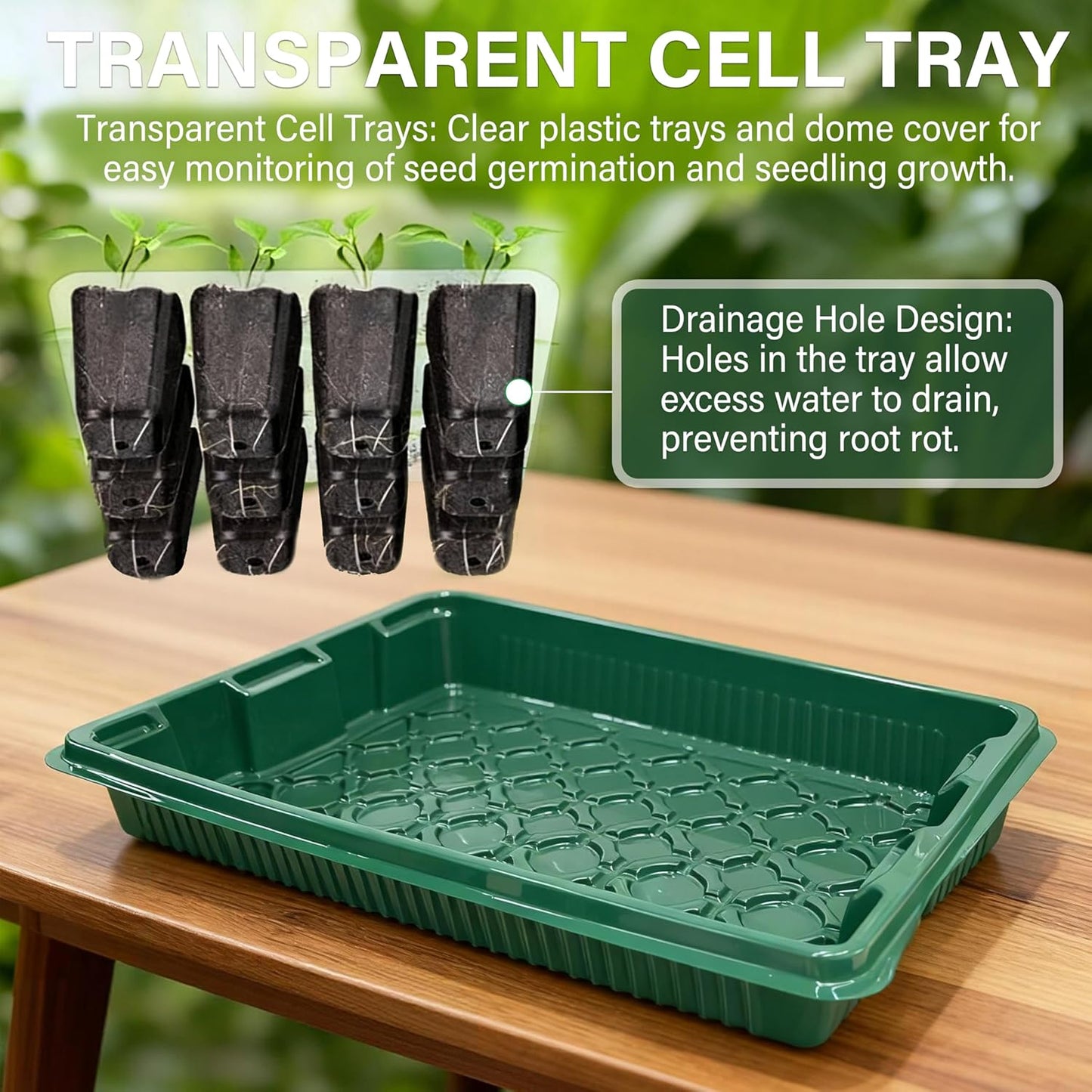 Seed Starter Tray with Grow Light by [Brand Name] - 80 Cells Indoor Seeding Kit with Adjustable Humidity Dome & 10 Brightness Levels