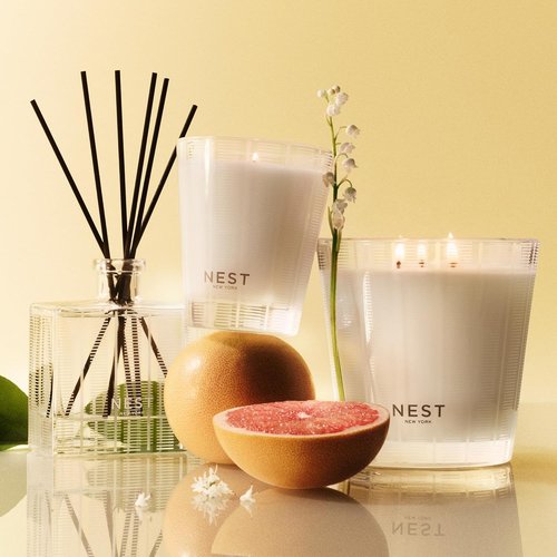 NEST New York Scented Classic Candle - Grapefruit Fragrance | 8.1 oz | Up to 60-Hour Burn Time