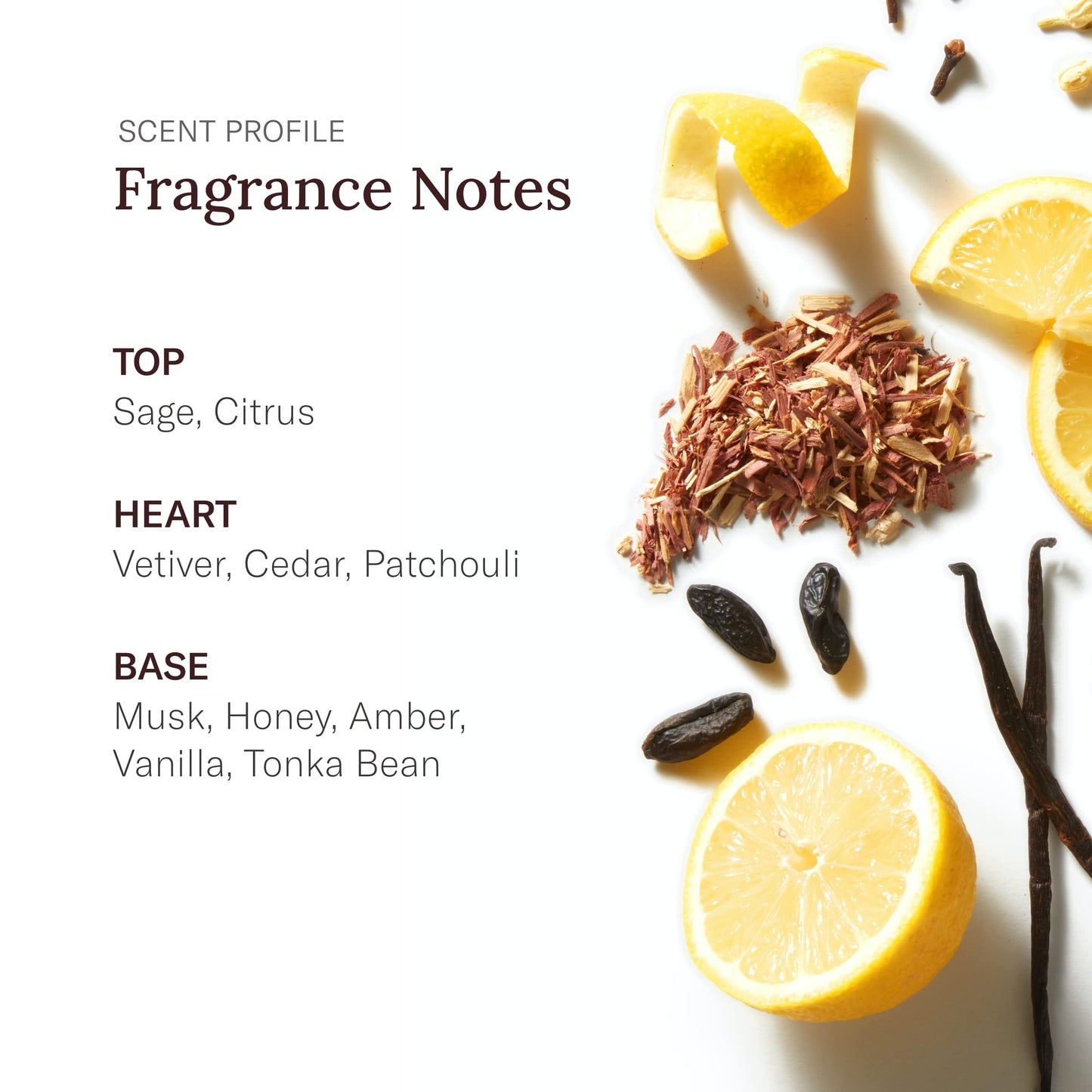 Stetson Original Aftershave by Scent Beauty - After Shave Splash for Men - Earthy and Woody Aroma with Fragrance Notes of Citrus, Patchouli, and Tonka Bean - 3.5 Fl Oz