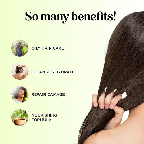 Regine Switzerland Tea Tree Conditioner - Sulfate-Free Formula for Dry Hair & Scalp Care | Nourishing Tea Tree Oil