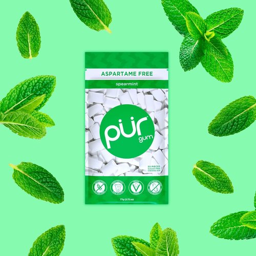 PUR Gum - Aspartame Free Chewing Gum with 100% Xylitol | Natural Spearmint Flavor, 55 Pieces