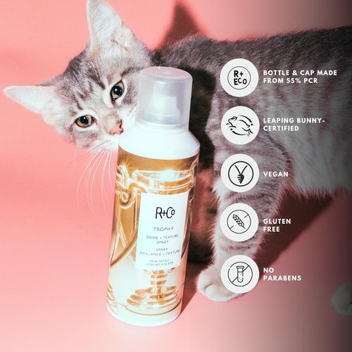 R+Co TROPHY Shine + Texture Spray - Texturizing Hair Spray for Volume & Manageability, All Hair Types
