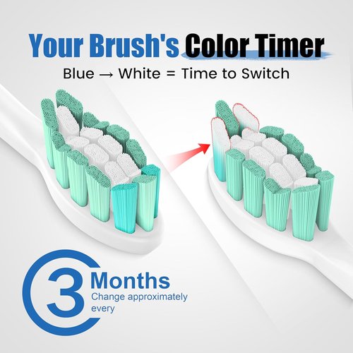Philips Sonicare Replacement Toothbrush Heads - Gentle & Effective Plaque Control, 10 Pack (Black)