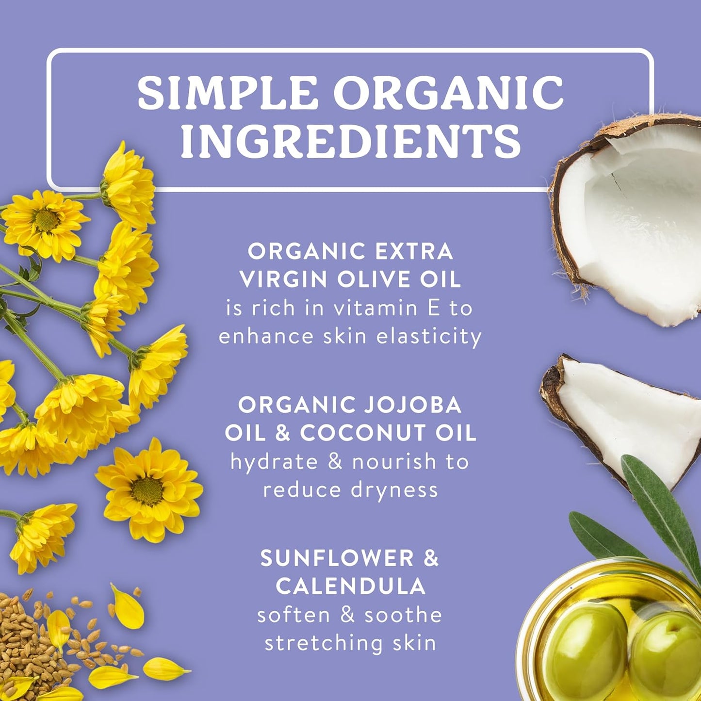 Badger Organic Pregnant Belly Oil - Nourishing Jojoba & Coconut Blend - 4 oz.