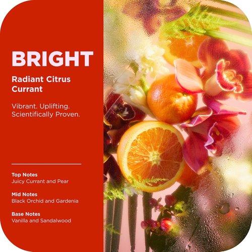 OLLY Bright Body Wash - Nourishing Cleanser with Ginseng, Caffeine & Vitamin C | 17 oz Citrus Currant Scent