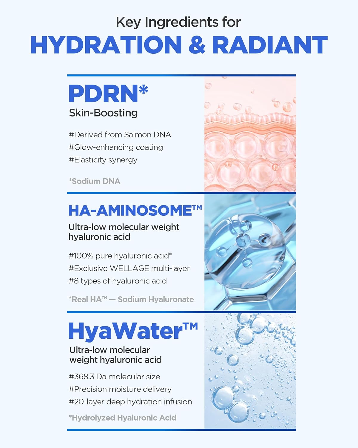 WELLAGE Real Hyaluronic Glow Booster Hydrogel Face Sheet Mask - Overnight Moisture & Radiance | 5 Sheets