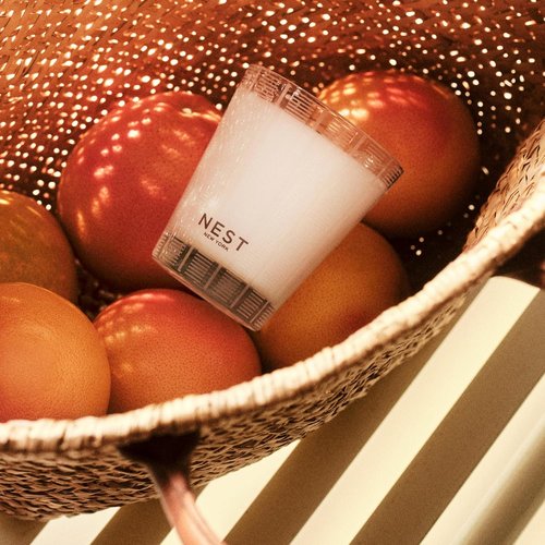 NEST New York Scented Classic Candle - Grapefruit Fragrance | 8.1 oz | Up to 60-Hour Burn Time