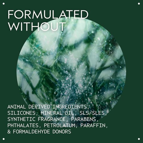 Aveda Botanical Kinetics Exfoliant - Liquid Exfoliant for All Skin Types | Smooth, Clear, Refine Skin, 5 Fl Oz