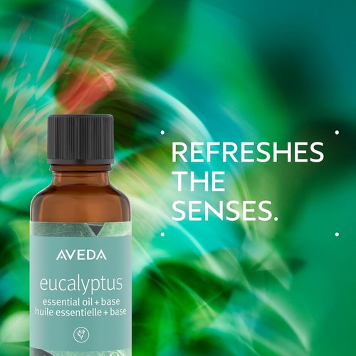 Aveda Eucalyptus Essential Oil - Refreshing Aroma for Body & Bath | 1 Fl Oz