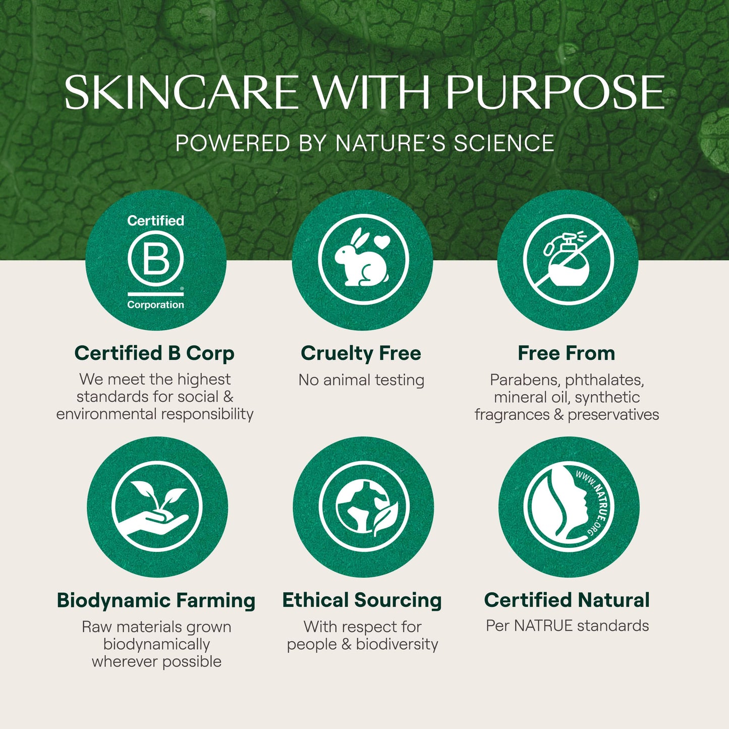 Weleda Skin Food Original 3-Pack