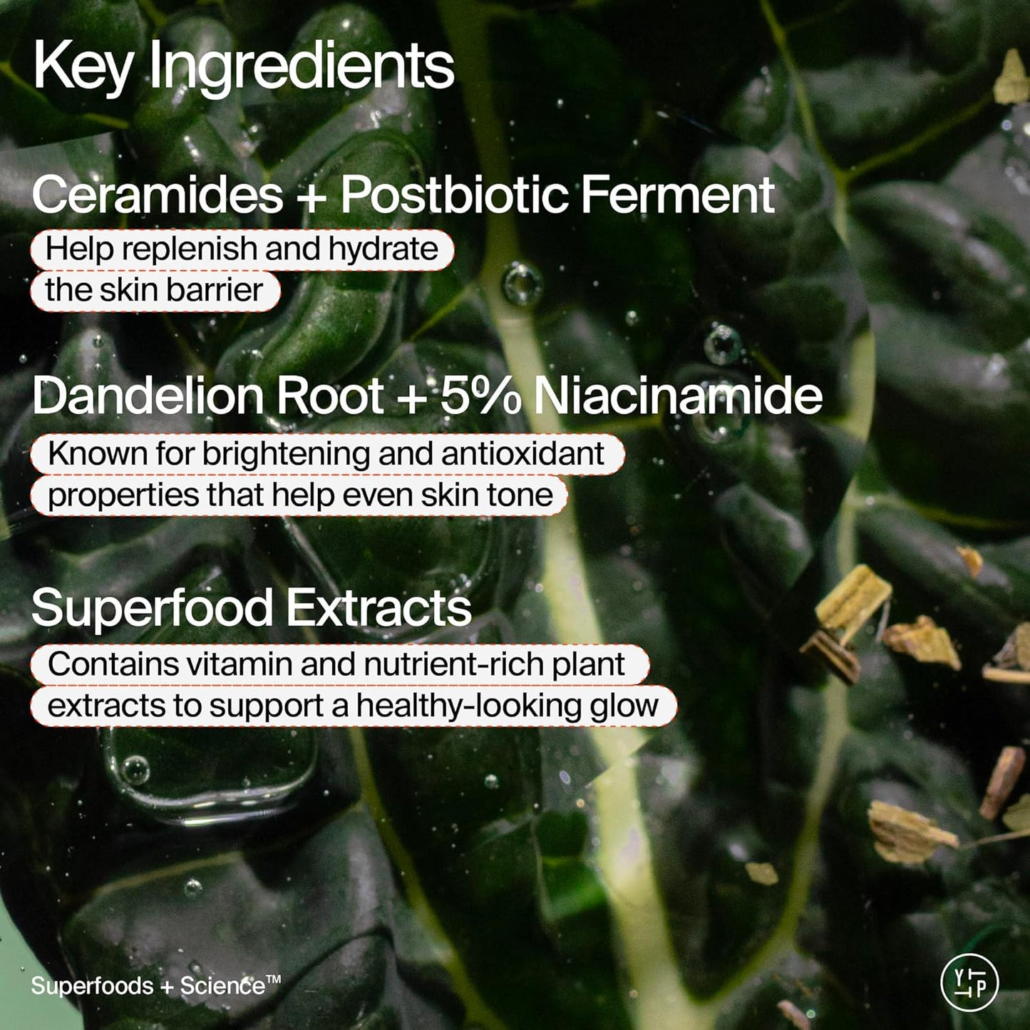 Youth To The People Superfood Skin Drip Face Serum - Strengthens Skin Barrier & Evens Tone | 1 fl oz, Vegan, 5% Niacinamide, Kale, Peptides, Ceramides
