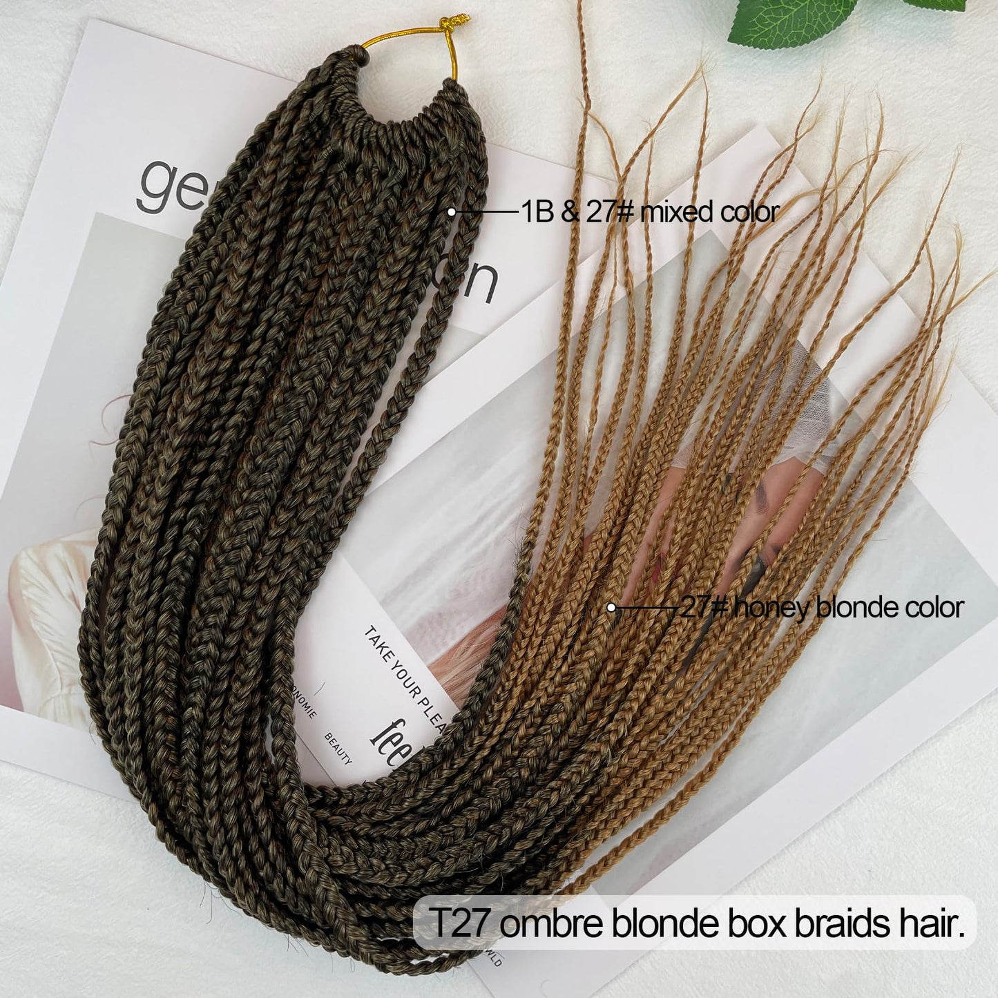 Chicmoi Pre Looped Crochet Box Braids 24 Inch T27 Ombre Honey Blonde Box Braids Crochet Hair 1/3 Inch Wide Small Prelooped Crochet Braids Hair for Black Women (24in 6pack, T27)