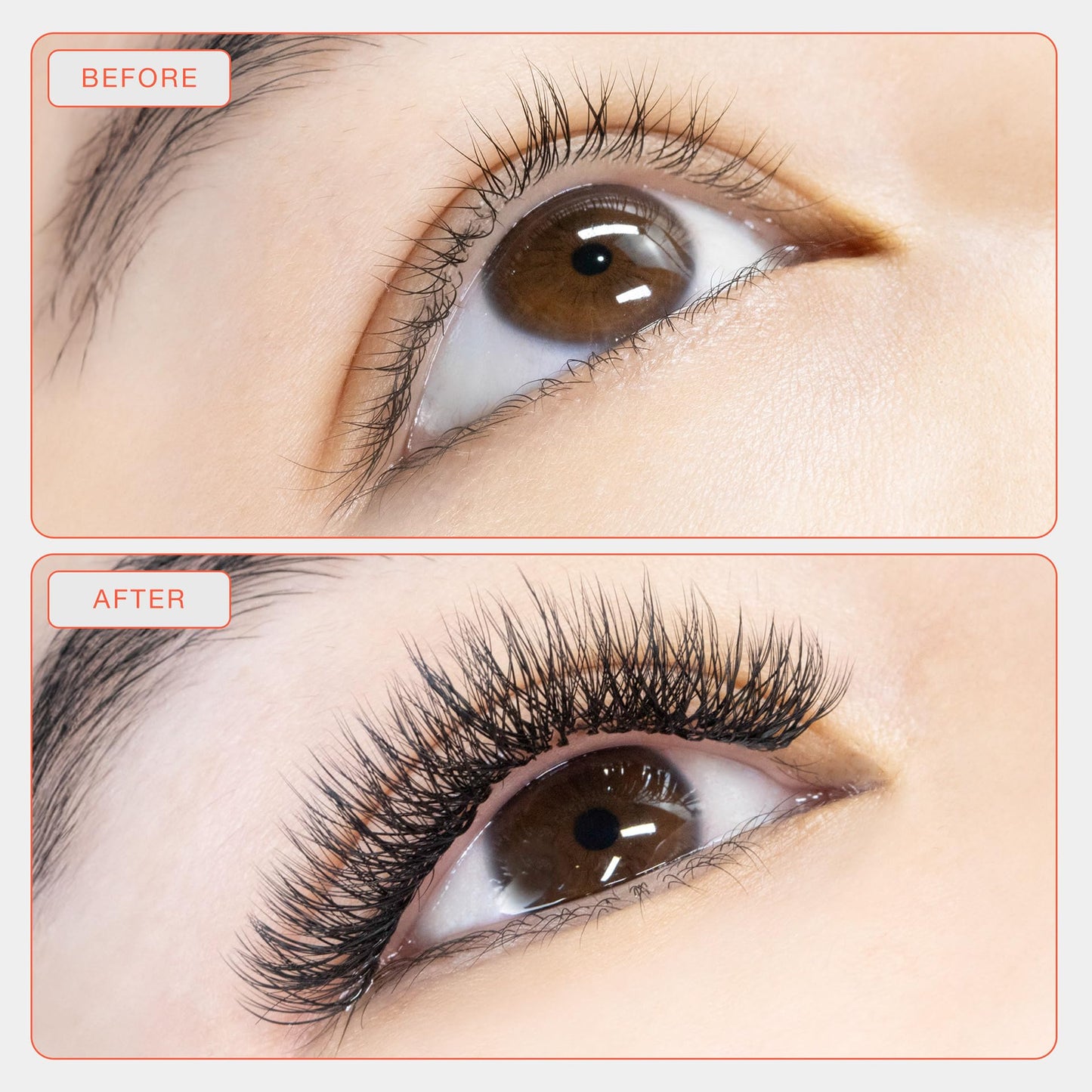 Curacoro W Eyelashes Extensions - 3D Handmade Volume Eyelashes, C CC D Curl, Thickness 0.05~0.07mm, 9-15mm Length Mixed Tray, Full Fluffy Volume Look, Long Lasting & Easy Application