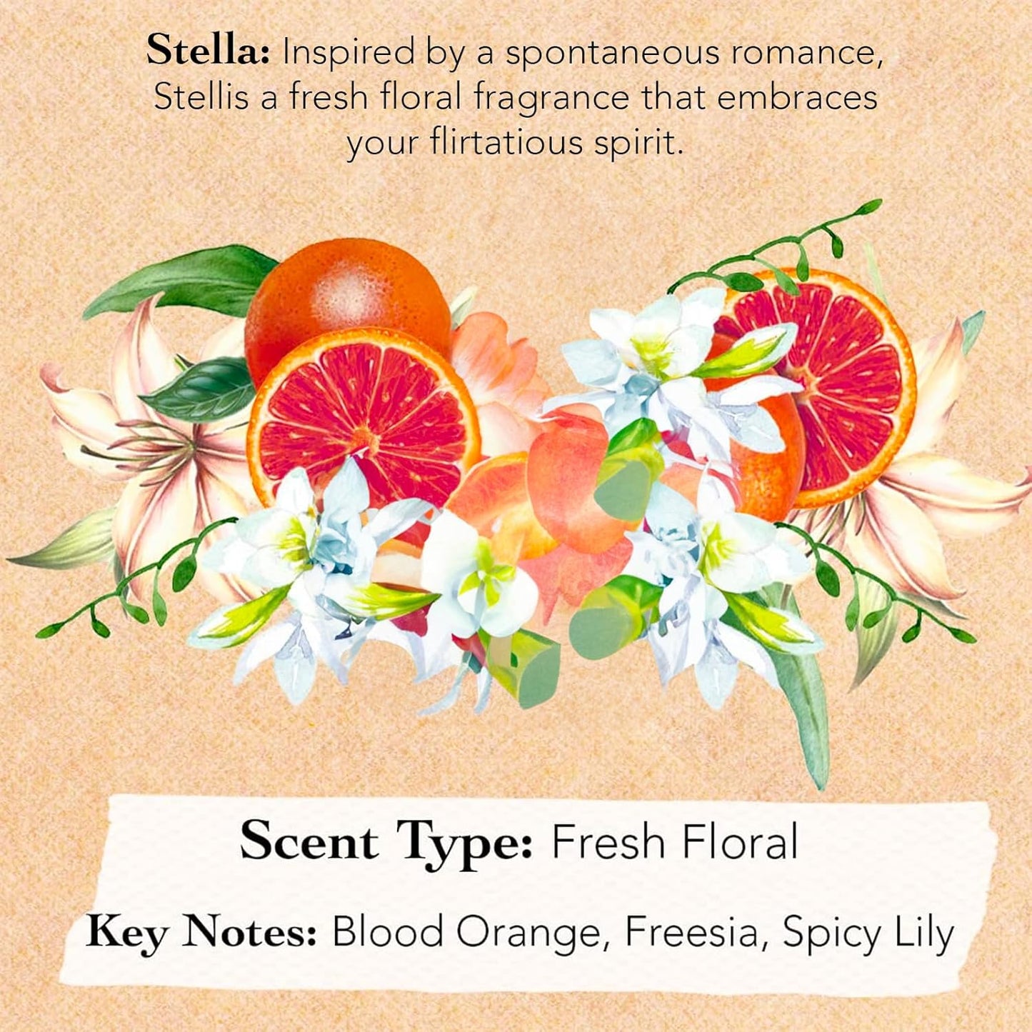 Tocca Women's Perfume Mini Discovery Sampler Set - 8 Unique Scents (1.5ml Each) | Cleopatra, Stella & More