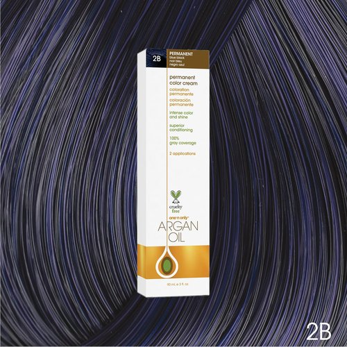One N' Only Permanent Hair Color - Argan Oil Infused Dye for Rich Gray Coverage - 2B Blue Black (3 oz)