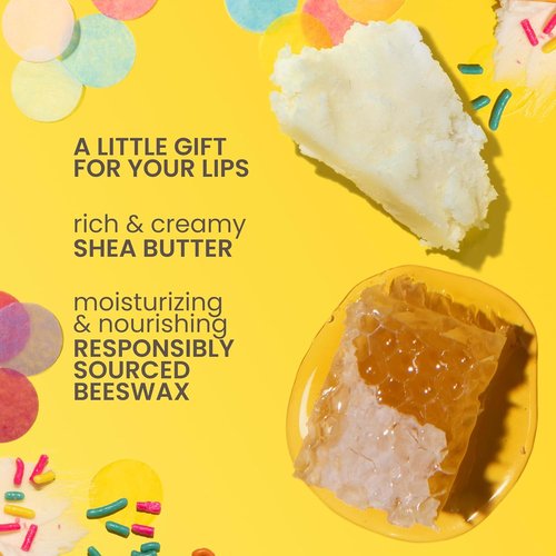 Burt's Bees Lip Balm Party Pack - Moisturizing Natural Lip Treatment | 4 Tint-Free Flavors, 0.15 oz Each
