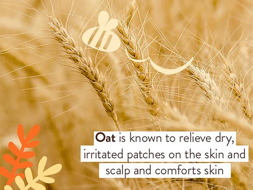 BABO Botanicals Healing Ointment | Fragrance-Free, 99% Organic Formula for Eczema & Irritated Skin - Face & Body