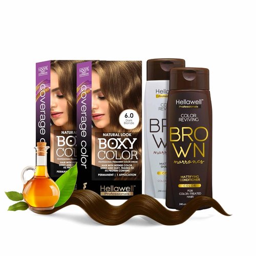 Professional Coloring Kit - Permanent Hair Dye for Gray Coverage | 6.0 Dark Blonde + Reviving Shampoo & Conditioner