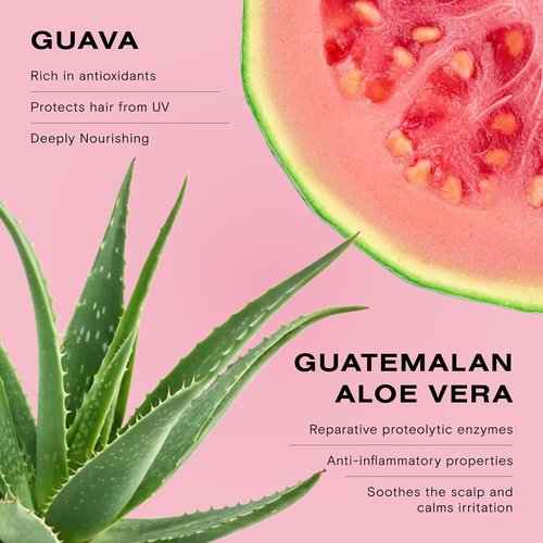 Ceremonia Guava Protect & Repair Conditioner - Nourishes Damaged & Color-Treated Hair | 1.69 Fl. Oz.