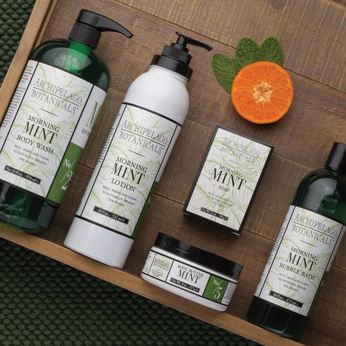 Archipelago Botanicals Morning Mint Body Wash - Moisturizing Shower Gel for Dry Skin | 33 oz, Paraben-Free